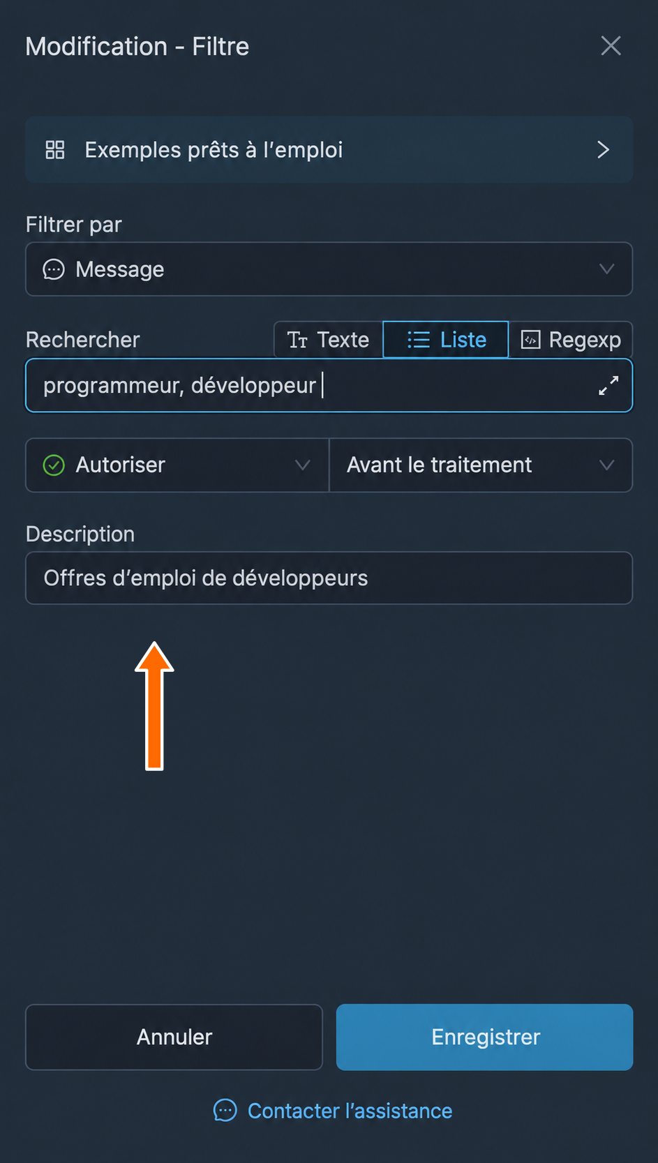 Description facultative du filtre