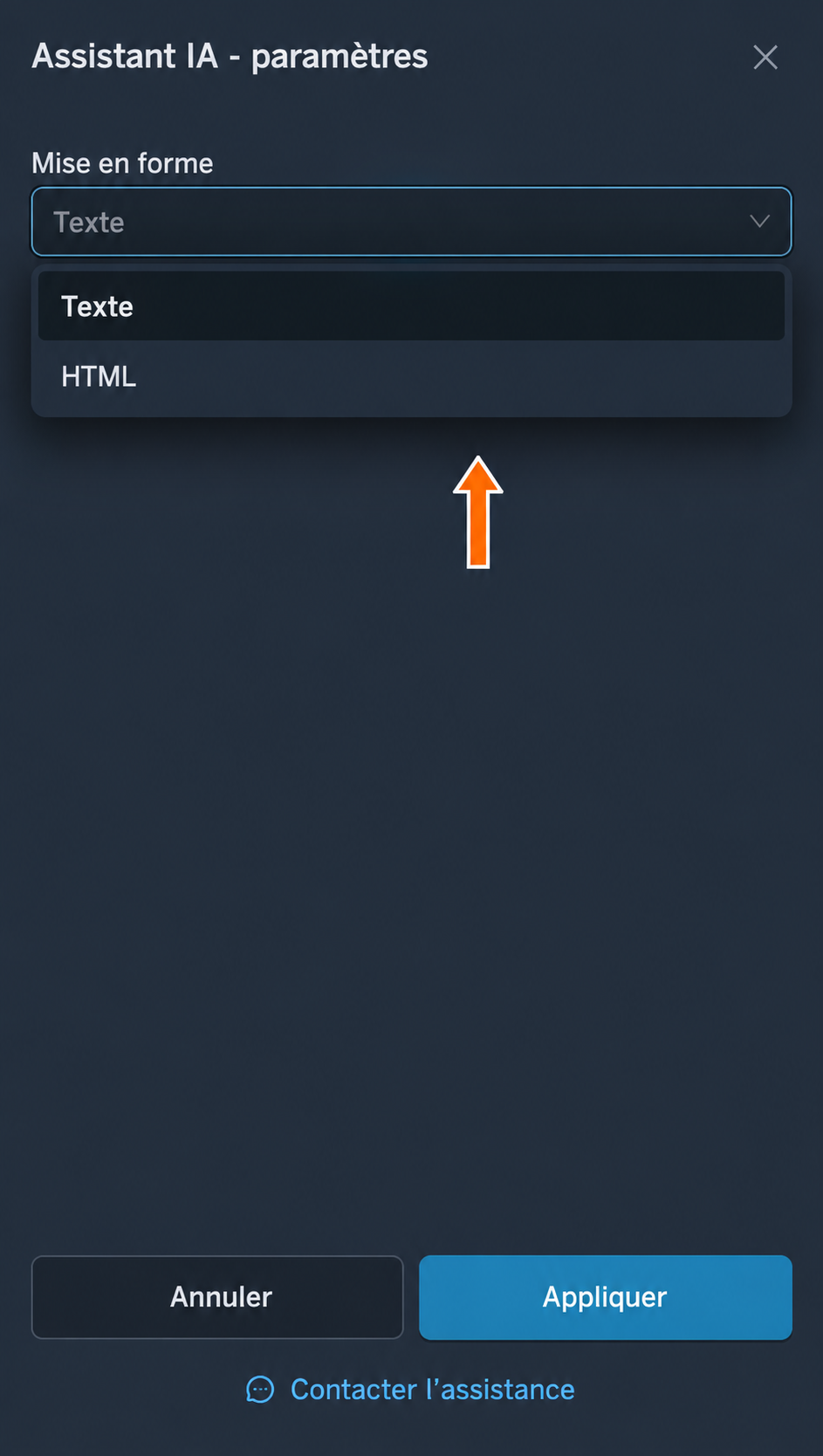 Options de mise en forme : « Texte » et « HTML »