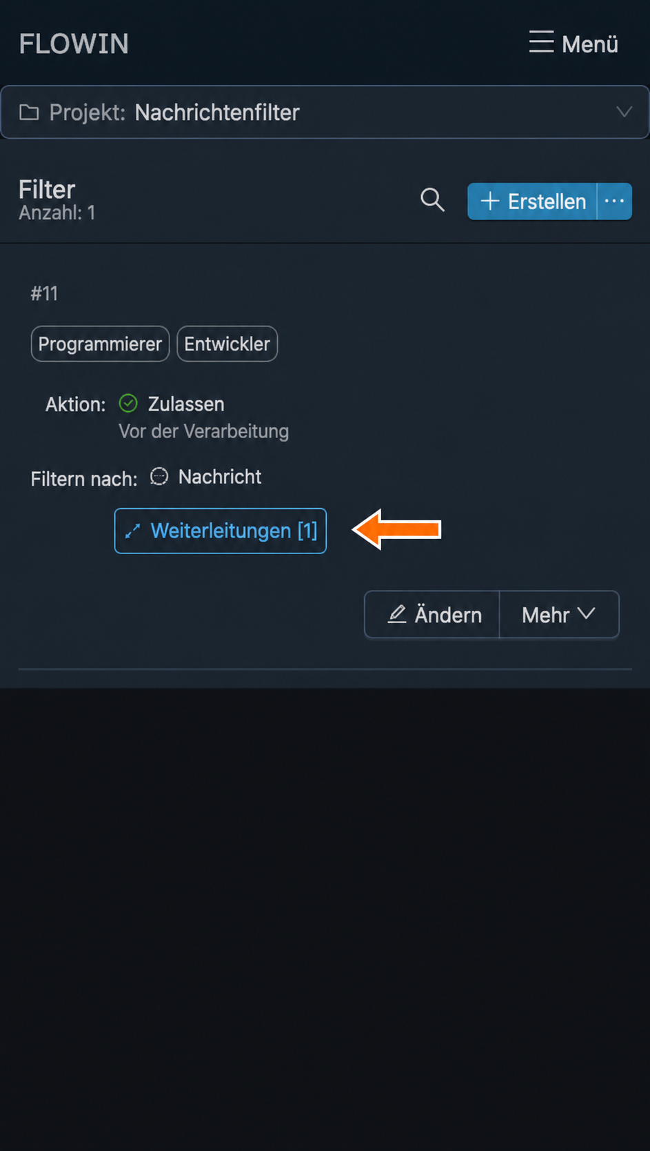 Der erstellte Filter mit der zugeordneten Weiterleitung